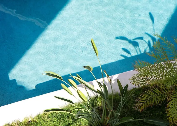 Anemomiloi 3* Ándros