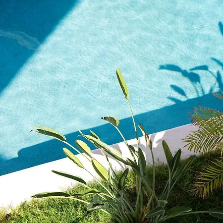 Anemomiloi 3* Άνδρος