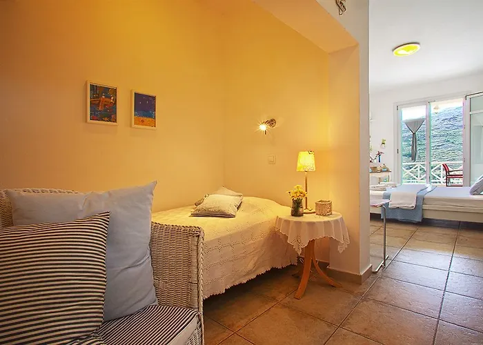 Hotel Anemomiloi Andros Town